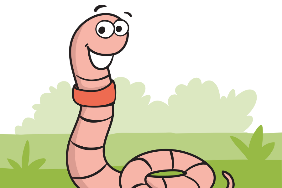 Arie Aardworm