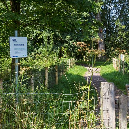 De Omgevingswet en de drinkwaterzorgplicht.