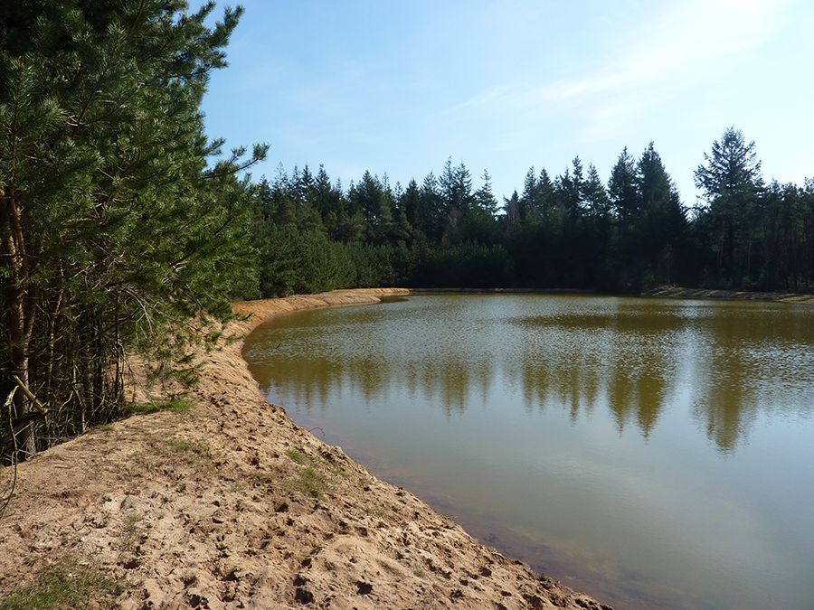 Bomen zand en water