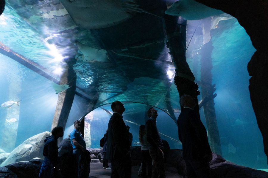 Ocean in Burgers' Zoo Arnhem