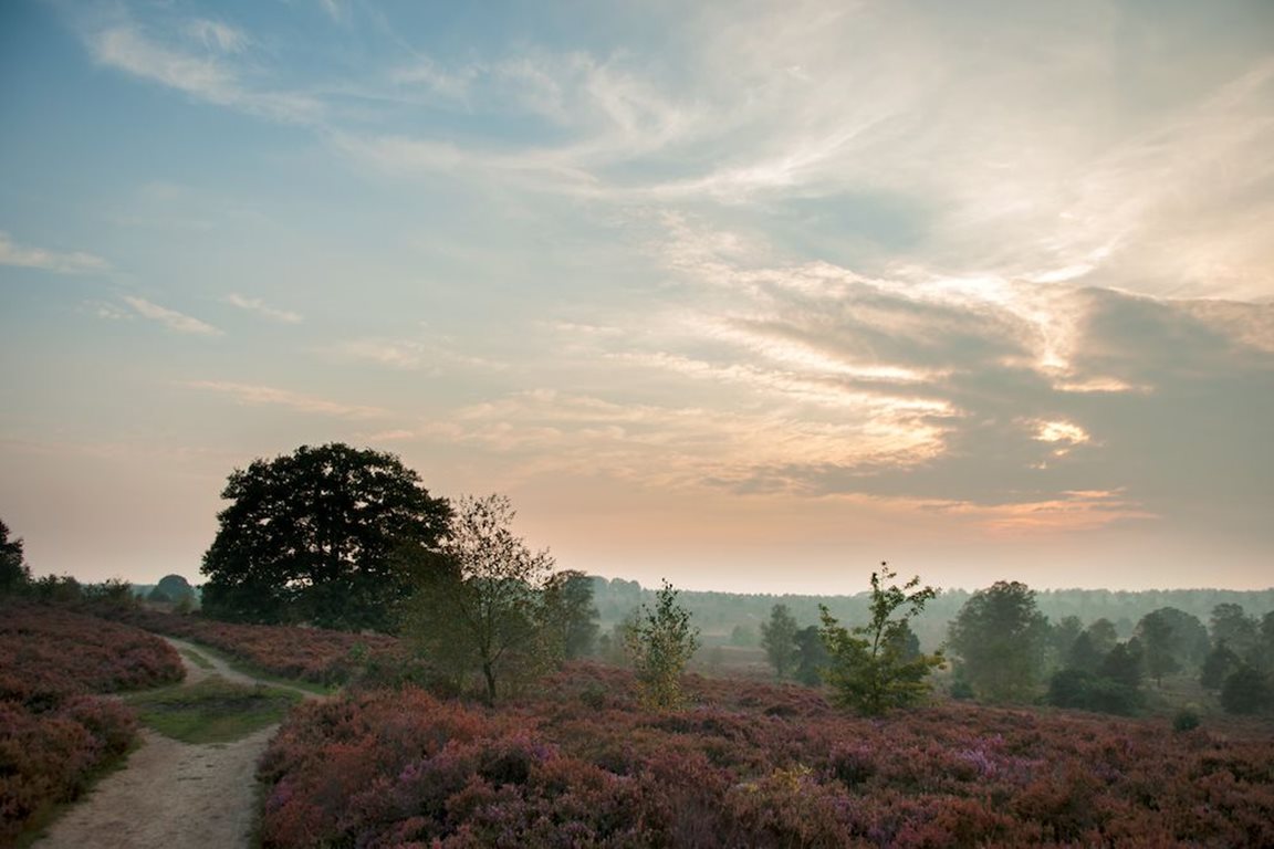 Samen zorgen we voor de natuur: De bron van ons drinkwater.