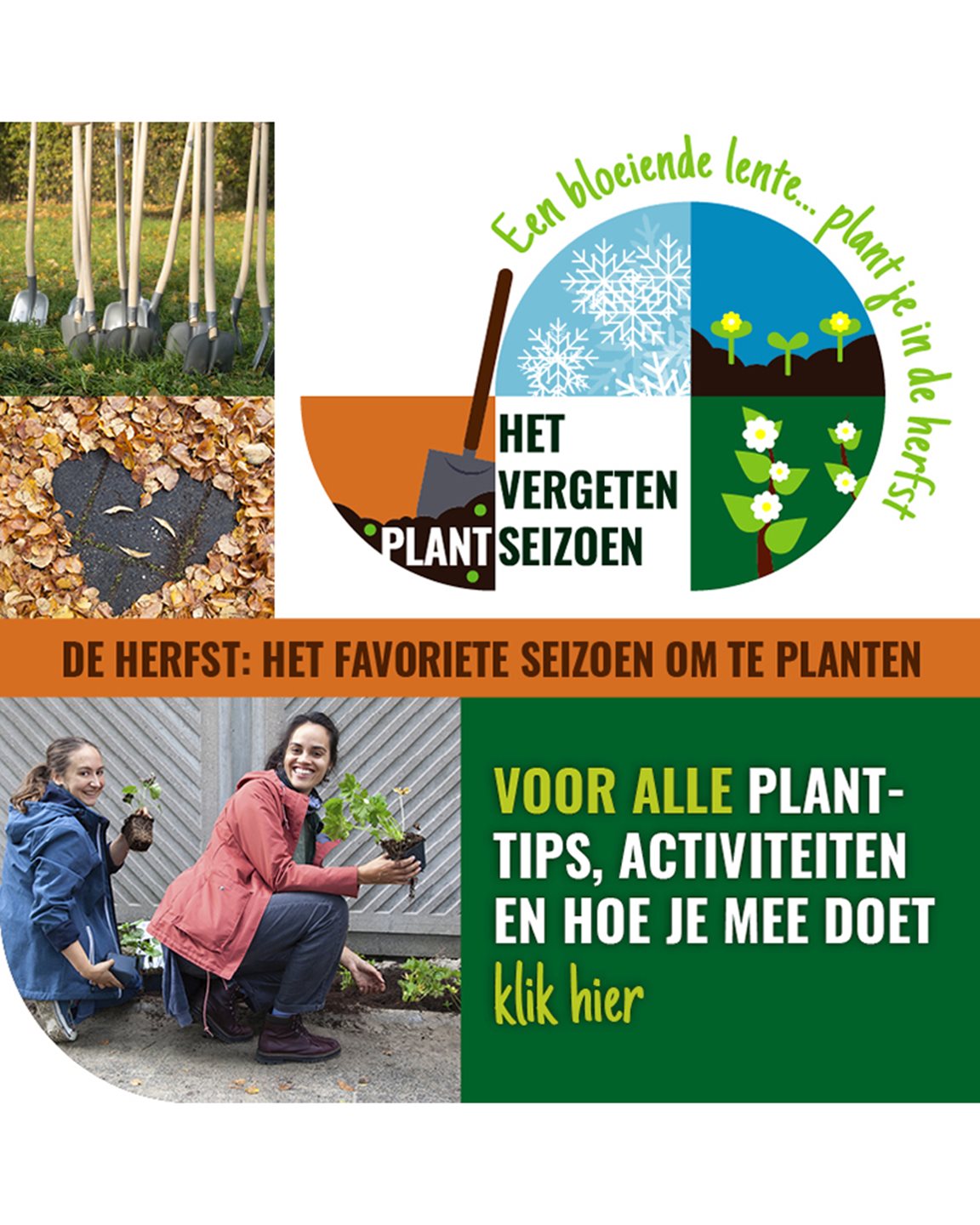 Focus op najaar als Het Vergeten Plantseizoen.