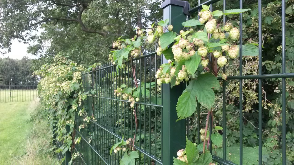 Maakt Vitens een zooitje van haar waterwingebieden?
