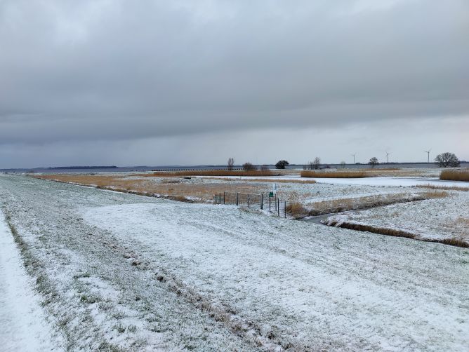 Weiland met sneeuw in Eemdijk