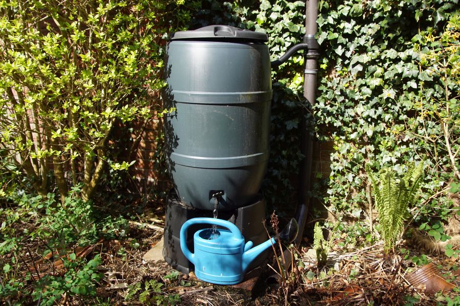 Gieter vullen met water uit de regenton