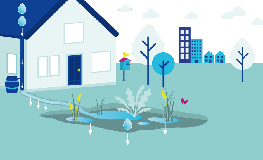 Illustratie huis met tuin en wadi voor het opvangen van hemelwater
